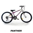  ����� ���� ����� 24 ���� ���� PANTHER �� 21 �������  ����� TP 