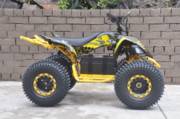     48V Rider